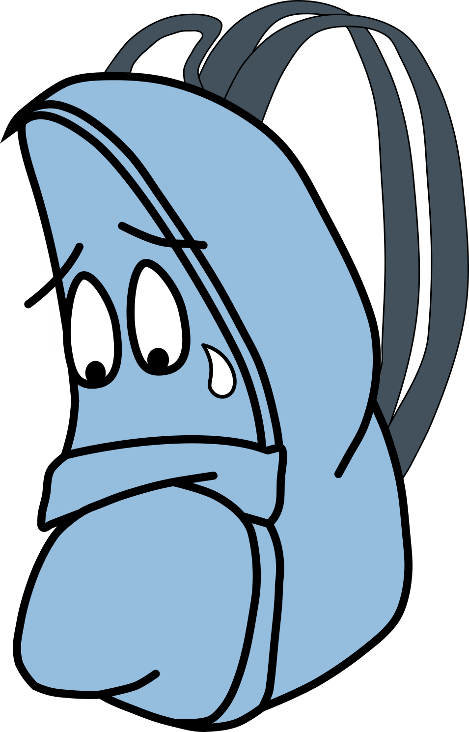 The Sad Bag